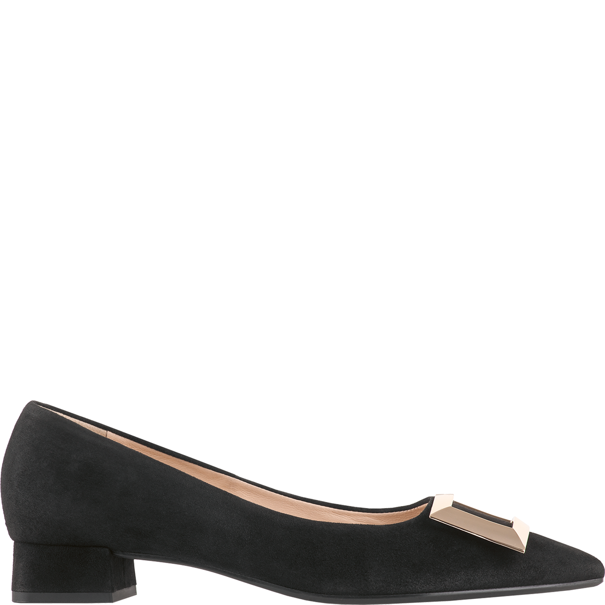 Högl Suede pumps with square golden buckles Black