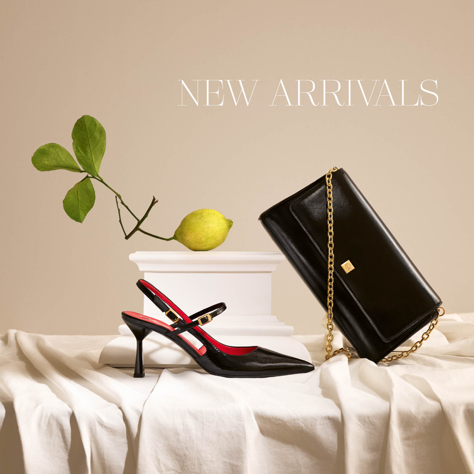 Discover here our latest collection models.