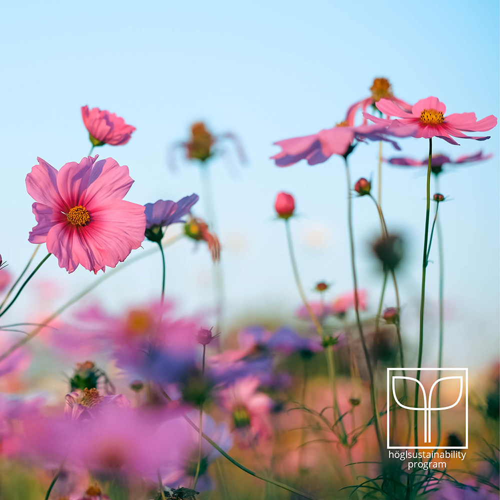 H&ouml;gl Sustainability Program