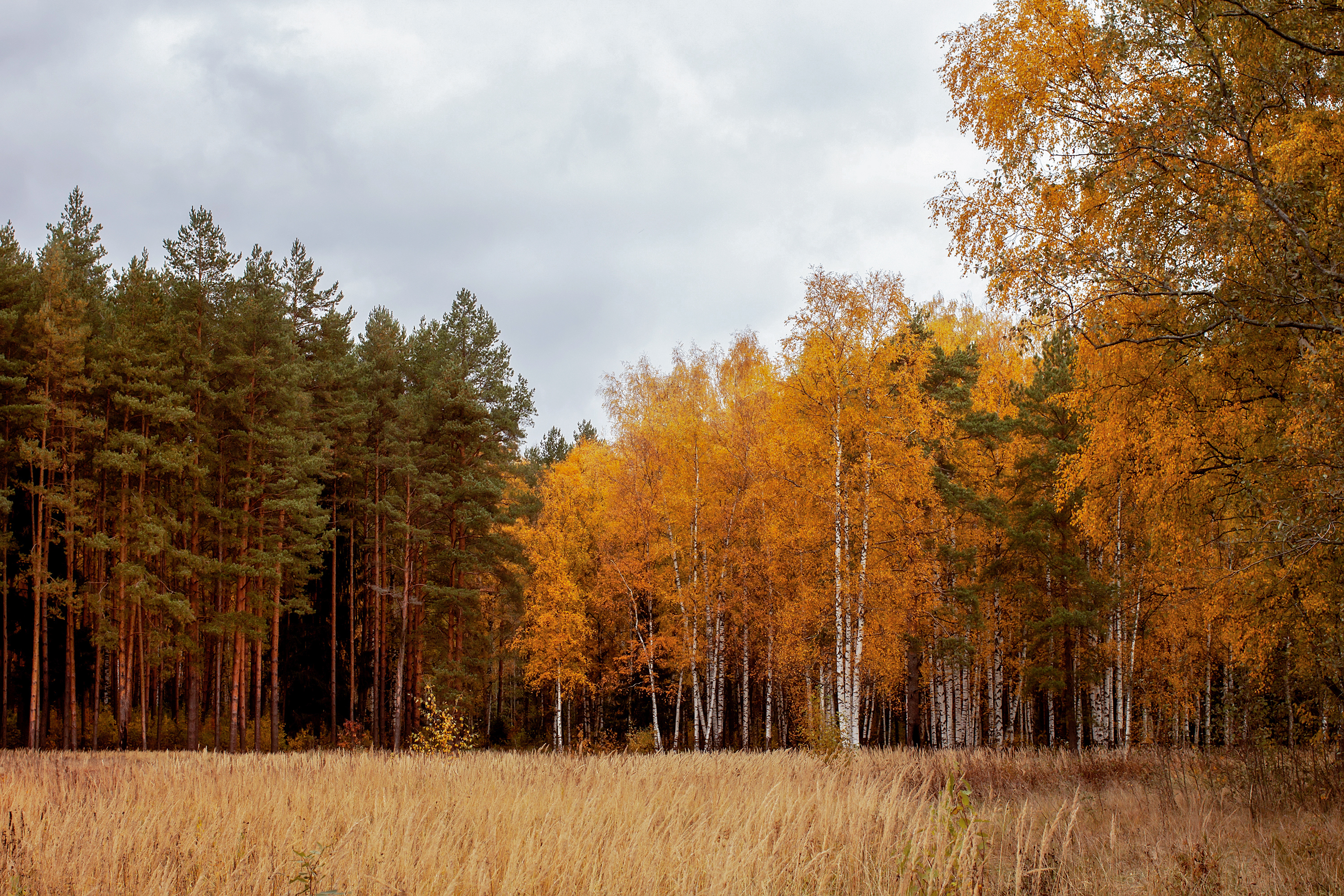 shutterstock_373673770