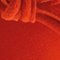 1100122-4100_05_webshop