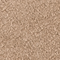 0176702-1900_05_webshop