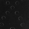 0101513-0100_05_webshop